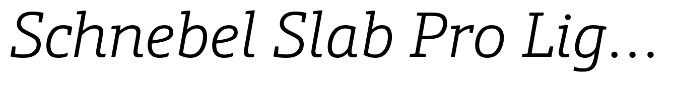 Schnebel Slab Pro Light Italic